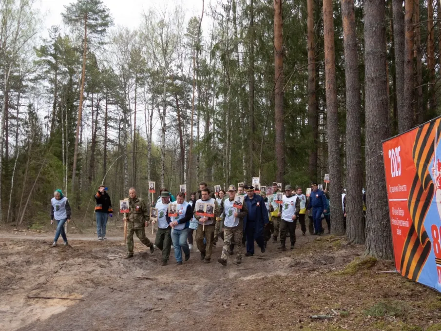 Более 450 тысяч деревьев высадили в Нижегородской области в рамках шестого сезона акции «Сад памяти»